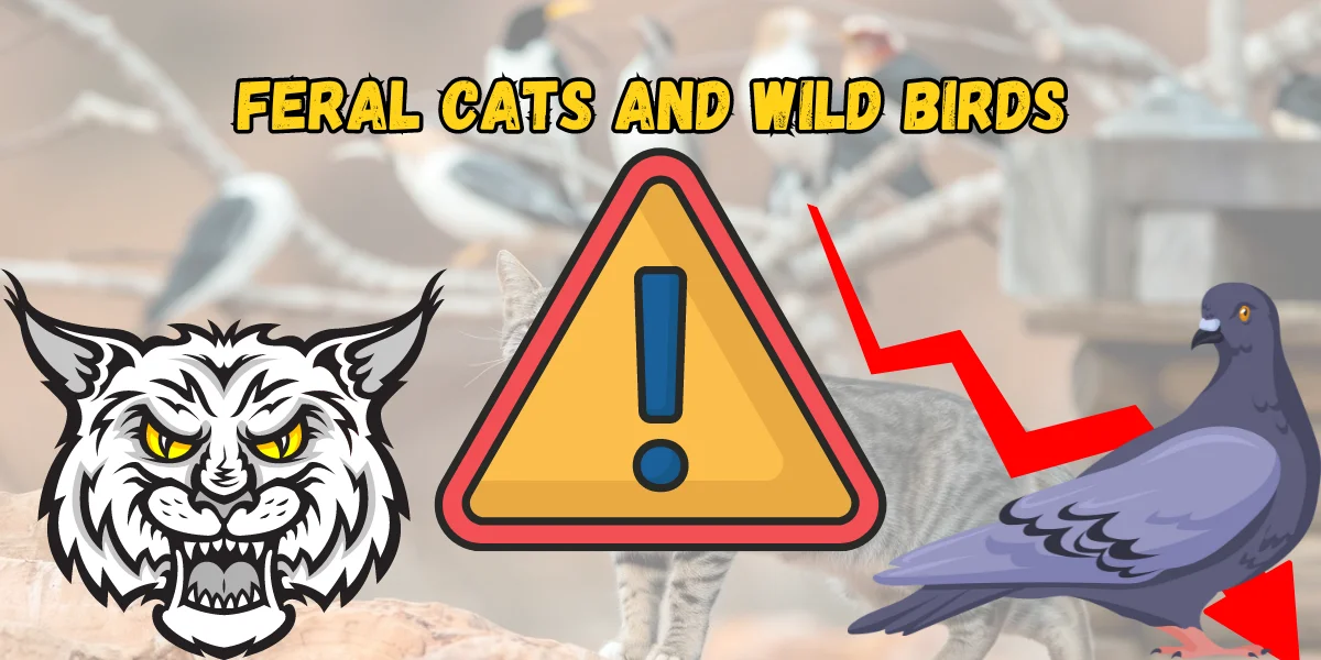 Feral Cats and Wild Birds