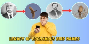 Legacy of Eponymous Bird Names