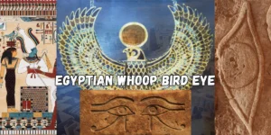 Egyptian Whoop Bird Eye