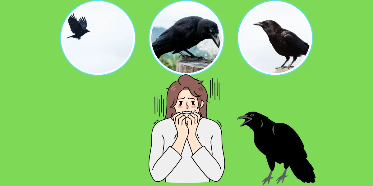 Do Crows Scare Away Other Birds